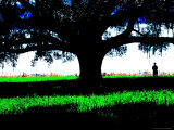 Figure Standing Under a Tree, North Florida Photographic Print by Pat Canova