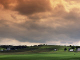 Fields on a Farm, LA Photographic Print by David R. Frazier