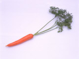 Carrot with Stem Photographie par David Ball