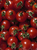 Cherry Tomatoes Lámina fotográfica por Mark Gibson Cherry Tomatoes Lámina fotográfica por Mark Gibson