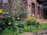 Jardin français Photographie par Martin Fox