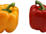 Peppers Photographic Print