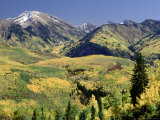 Treasure Mt, White River Nf, CO Photographic Print by Wallace Garrison