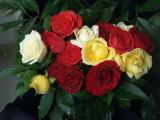 Bouquet of Various Colored Roses Photographic Print by Kadir Kir