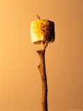 Roasted Marshmallow on a Stick Fotografisk tryk af Ernie Friedlander Roasted Marshmallow on a Stick Fotografisk tryk af Ernie Friedlander