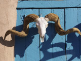 Ram's Head on Blue Door, New Mexico Impressão fotográfica por Alan Veldenzer