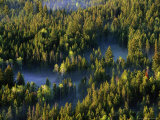 Jackson Hole Valley, WY Photographie par Stephen Saks