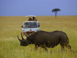 Rhinoceros, Masai Mara, Kenya, Africa Photographic Print by Eric Horan