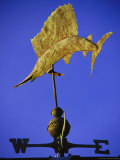 Sailfish Weathervane, AL Photographic Print by Jeff Greenberg
