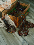 Lobsters Photographic Print by Martin Fox
