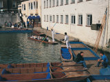 Cambridgeshire Punting, Cambridge Photographic Print by Mark Dyball