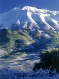 Snow, Trees and Mountains Photographic Print by William Swartz