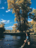 Woman Fly Fishing in Co, Holding Fish Photographic Print by Paul Gallaher