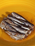 Plate of Canned Sardines Photographic Print by Carol & Mike Werner