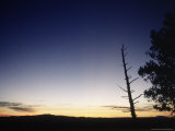 Bryce Canyon, Sunrise, Utah Photographic Print by Timothy O'Keefe