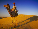 Man Atop Camel, Thar Desert, Rajasthan, India Photographic Print by Peter Adams