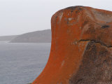 Remarkable Rock, Kangaroo Island Photographic Print by Lauree Feldman