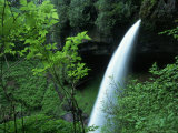 Lush Vegetation Surrounding a Waterfall Photographic Print by James Morris