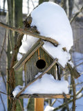 Snow Covering a Birdhouse Photographic Print by Dennis Macdonald