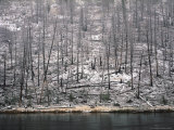 Yellowstone National Park, Wyoming Photographic Print by Walter Bibikow