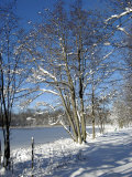 Scène hivernale, Michigan Photographie par Dennis Macdonald