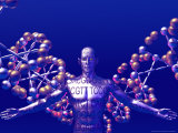 Human Genome Photographic Print by Carol & Mike Werner