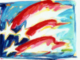 Stars and Stripes Photographic Print by Kari Kaplan