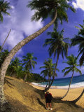 Woman Hiking, Dominican Republic Photographic Print by Timothy O'Keefe