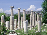 Ionic Columns, Aphrodisias, Turkey Photographic Print by Phyllis Picardi