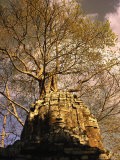 Angkor, Ta Som, East Entrance, Cambodia Photographic Print by Walter Bibikow