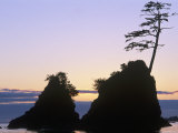 Three Graces Rocks, Tillimook Bay, Barview, OR Photographic Print by Donald Higgs