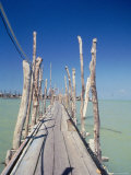 Wooden Boardwalk Photographie par Peter Langone