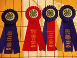 Ribbons For Competition, 4-H Fair, Chester, NJ Photographic Print by Jeff Greenberg