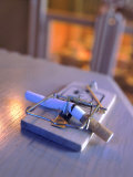 Broken Cigarette Caught in a Mouse Trap Photographic Print by Henryk T. Kaiser