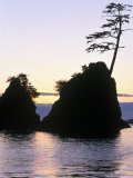 Three Graces Rocks, Tillimook Bay, Barview, OR Photographic Print by Donald Higgs