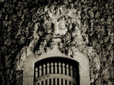 A Gate with a Face Made from Coral Photographie par John Glembin