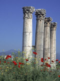 Poppies and Corinthian Columns, Mersin, Turkey Photographic Print by Phyllis Picardi