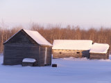 Barn- Gimli, Manitoba Photographic Print by Keith Levit