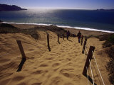 Steep Path Down to Baker Beach Photographic Print by Jeff Greenberg Steep Path Down to Baker Beach Photographic Print by Jeff Greenberg
