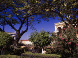 Main Square, Campeche, Mexico Photographic Print by Timothy O'Keefe