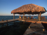 Robert's Grove Resort, Placencia, Belize Photographic Print by Yvette Cardozo