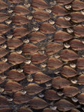 Dried And Filleted Fish, Nazare, Spain Lámina fotográfica por Bartomeu Amengual