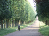 Chateau de Versailles, France Photographic Print by Keith Levit