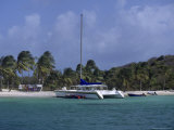 Daytrip Catamaran, Tobago Cays, Grenadines Photographie par Reid Neubert