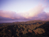 Rain Forest at Sunset, Costa Rica Photographic Print by Bruce Clarke