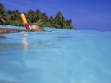 Woman Snorkeling, Maldives Islands, Indian Ocean Photographie par Angelo Cavalli