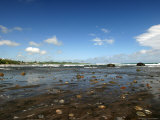 Oakura Beach on the Tasman Sea, Oakura Photographie par Tomas del Amo