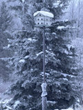 Winnipeg Manitoba, Canada Winter Scenes Lámina fotográfica por Keith Levit
