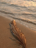 Hawaii, Seascapes Lámina fotográfica por Keith Levit