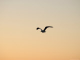Lake Scenes Photographic Print by Keith Levit